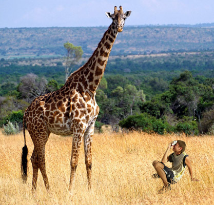 Готовый коллаж: мальчик фотографирует жирафа