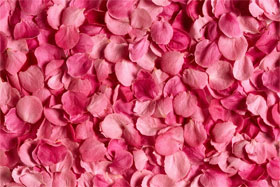 Изображение с лепестками роз