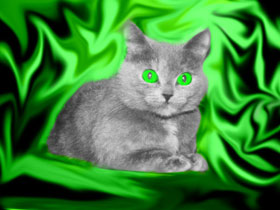 Chat sur ​​un fond vert