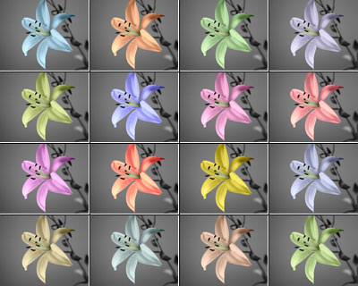 Sfilata di fiori: varianti della colorazione