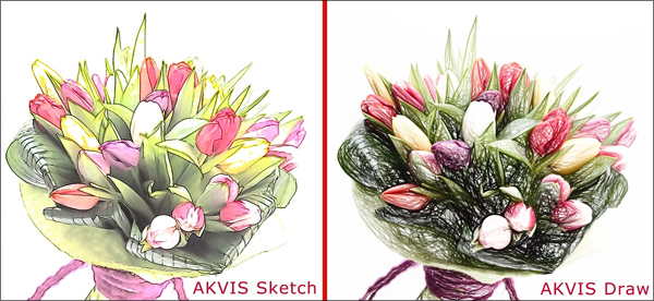Рисунок в AKVIS Sketch и AKVIS Draw