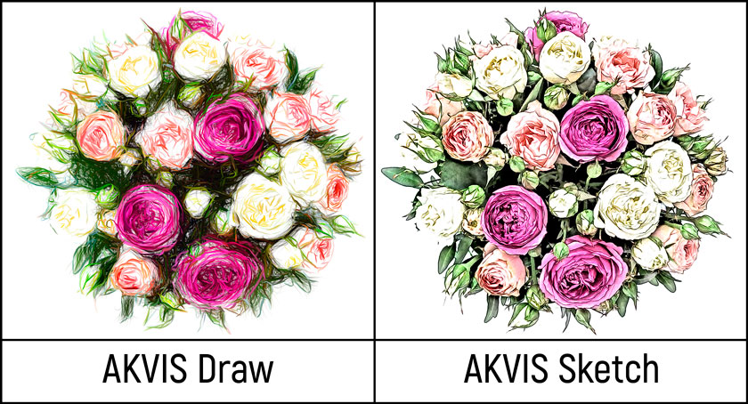 Рисунок в AKVIS Sketch и AKVIS Draw