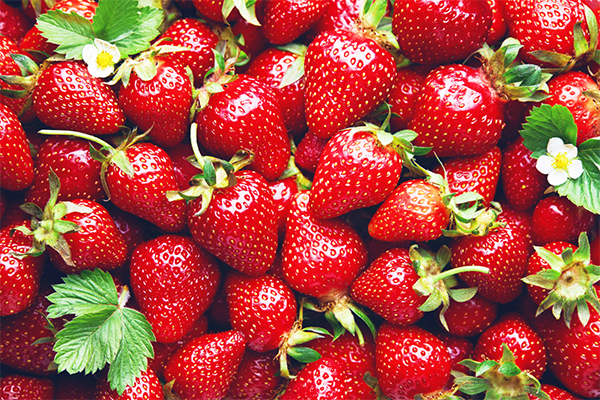 Erdbeeren