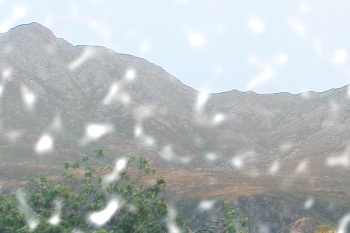 Large Opaque Snowflakes