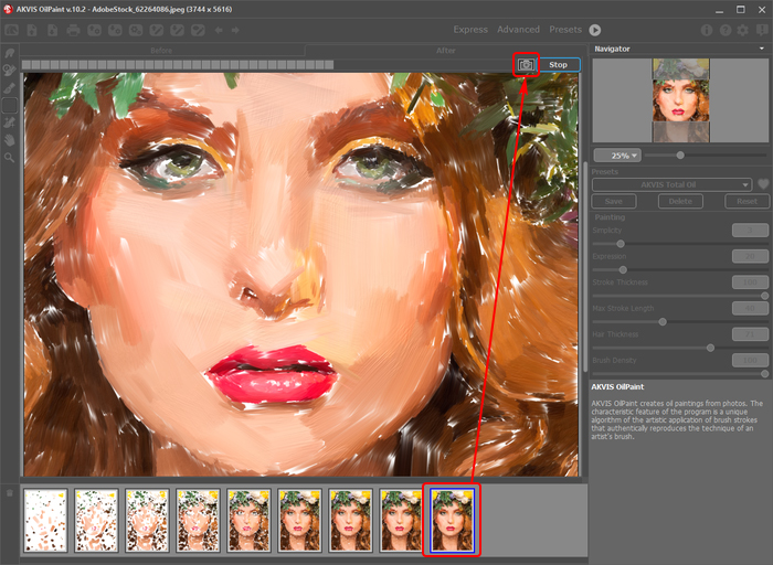 Image Processing in AKVIS OilPaint