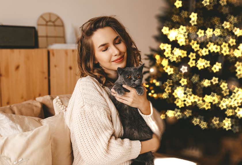 Bokeh Effect in AKVIS Refocus AI