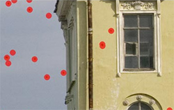 Original image