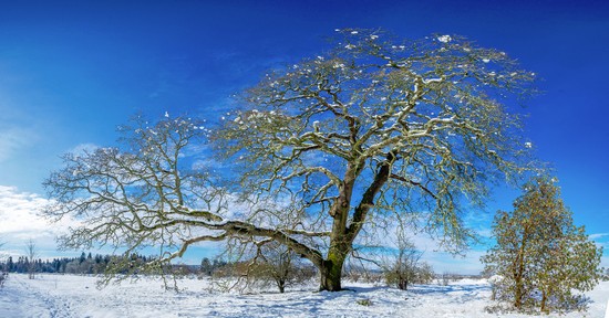 Invierno