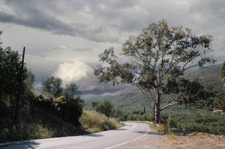 Landschaft mit Hintergrund 1