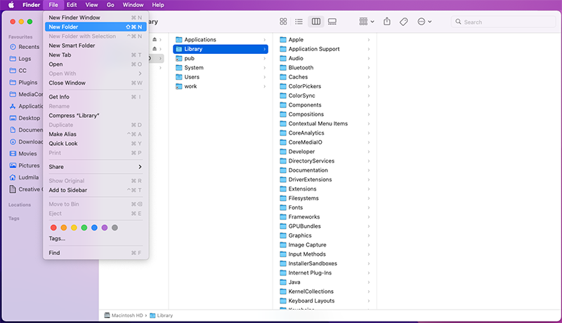 Creazione della cartella per plugin OFX