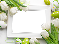Frames: Blooming Spring