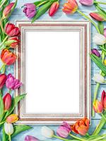 Frames: Blooming Spring