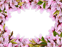 フレームパック: 花咲く春