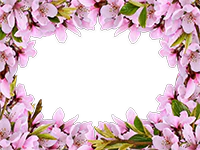 フレームパック: 花咲く春