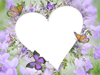 Bilderrahmen : Schmetterlingspaket