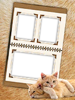 Cadres: Paquet de chats