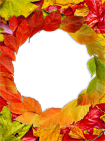 Marcos: Follaje de otoño