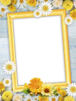 Frames: Flower Pack