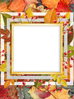 Frames: Golden Autumn