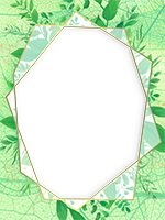 Cadres: Paquet monochrome