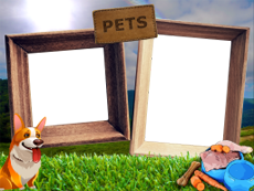 Frames: Pets Pack