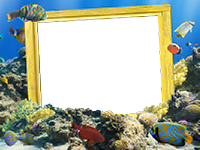 Frames: Sea Pack