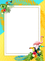 Frames: Tropical Pack