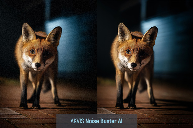 AKVIS Noise Buster AI