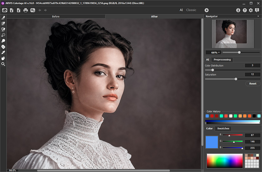 AKVIS Coloriage AI 16.0