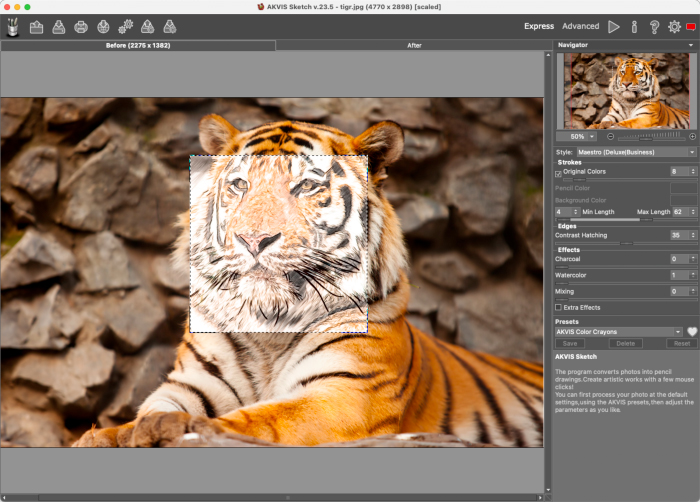 Lanzamiento de AKVIS Sketch en Capture Pro en Mac