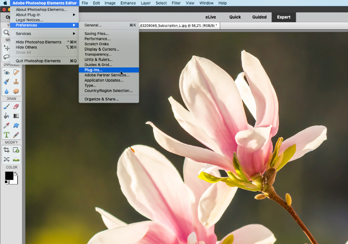 Preferenze di  Photoshop Elements