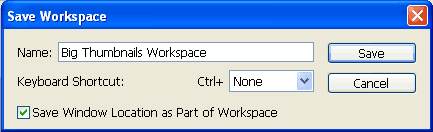 Save Workspace