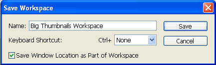 save workspace window size qownnotes